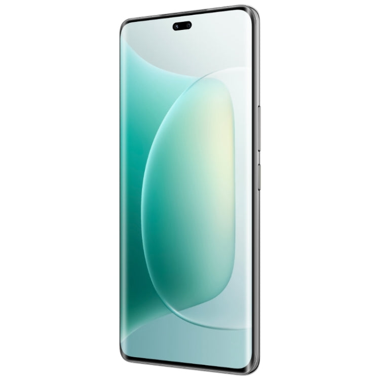 Honor 300 Pro, 12GB+512GB, Screen Fingerprint, 6.78 inch MagicOS 9.0 / Android 15 Snapdragon 8 Gen 3 Octa Core, Network: 5G, NFC, OTG, Not Support Google Play, Honor 300 Pro, 16GB+512GB