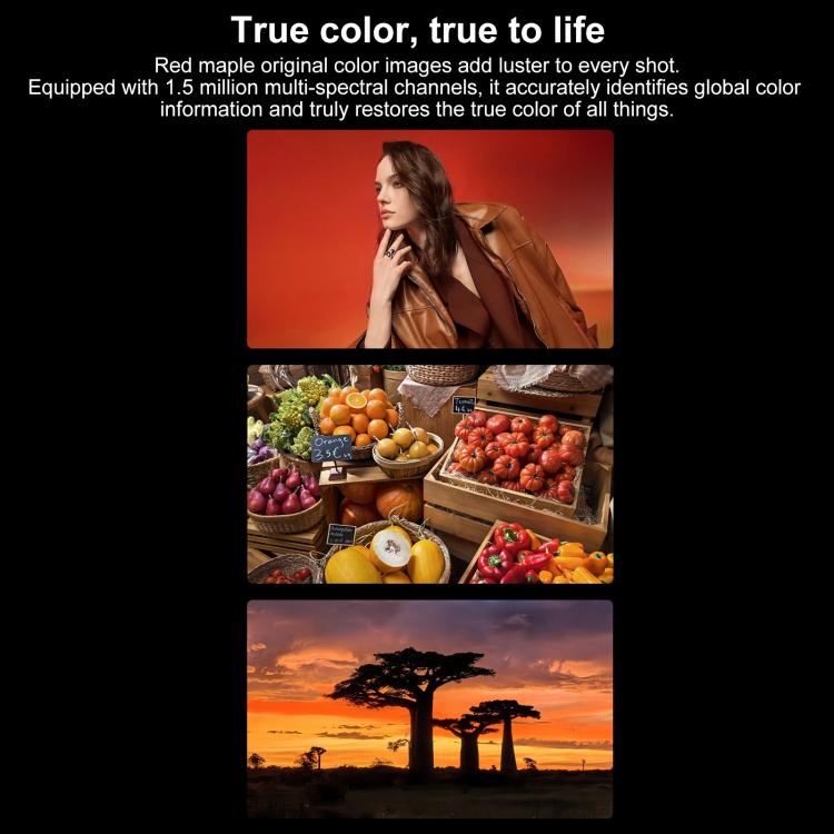 HUAWEI Pura X, 12GB+256GB, Side Fingerprint Identification, 6.3 inch + 3.5 inch HarmonyOS 5.0.1 Octa Core, NFC, OTG, Not Support Google Play